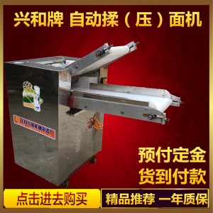 商用型全自動(dòng)揉面機(jī)350/500型揉面機(jī) 不銹鋼壓面機(jī) 創(chuàng)業(yè)設(shè)備