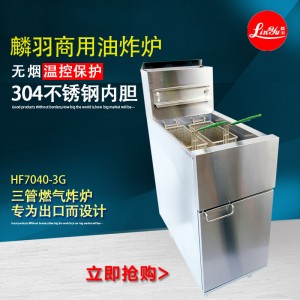 華菱電炸爐油炸爐 油炸鍋炸薯?xiàng)l機(jī)炸鍋商用燃?xì)庹t