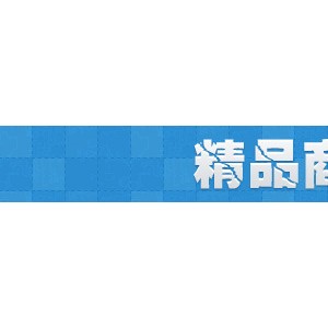 雙層玻璃木炭燒烤爐 商用不銹鋼烤鴨吊爐烤雞爐 羊排羊腿吊爐