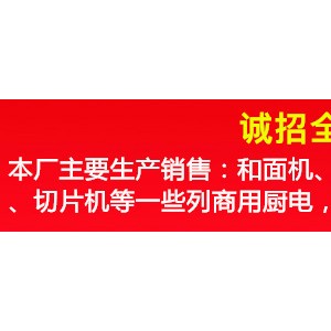 英潤和面機商用25公斤15公斤12.5公斤50斤 家用全自動揉面攪拌機