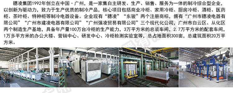 穗凌 LG4-700M2/W商用冰柜立式冷藏超市冰柜雙門展示柜不結霜風冷