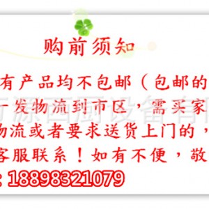 立式燃氣四頭煲仔爐連氣焗爐 商用 GH-987A四眼爐多功能 質量保證