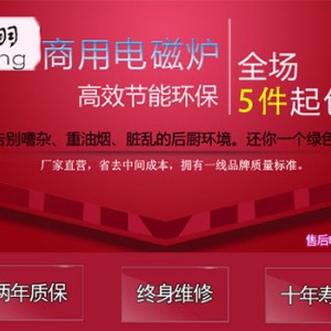 電磁雙頭單尾小炒爐 不銹鋼廚房設備 廠家直銷環保商用電磁炒爐